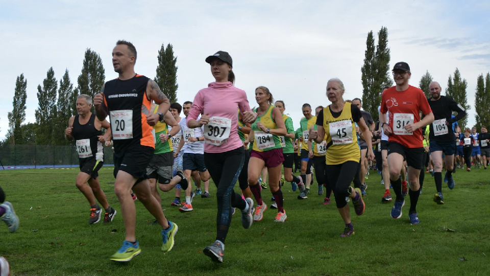 /images/2024/03/brewood-woggle-copy.jpg