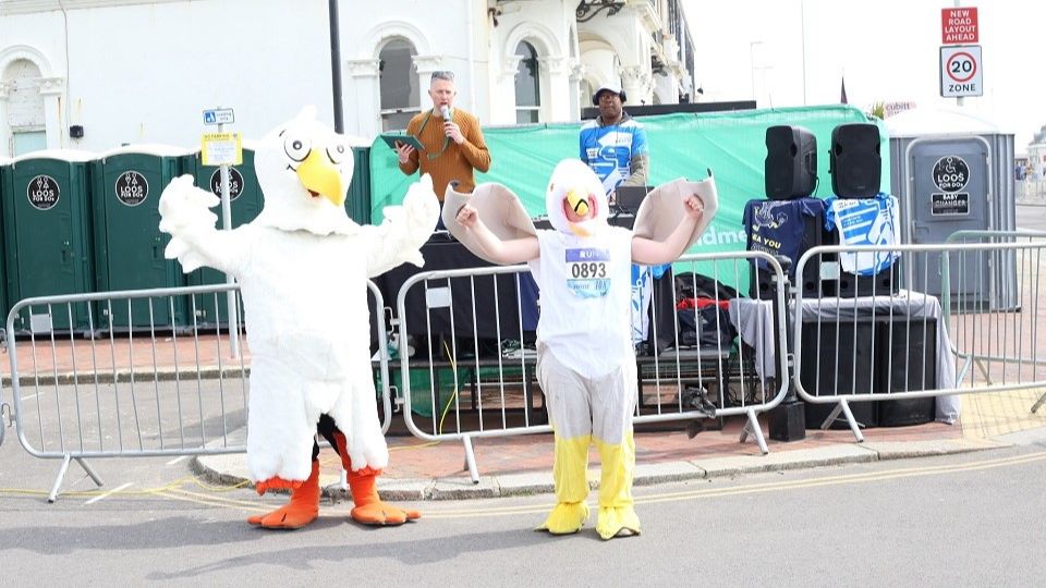 Worthing RUN-FEST seagulls