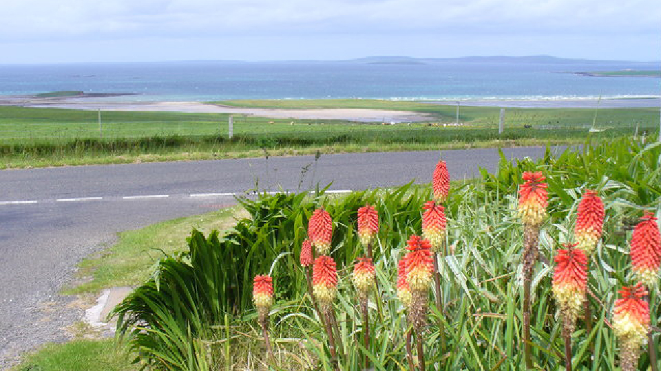 /images/2024/05/shapinsay-copy.jpg