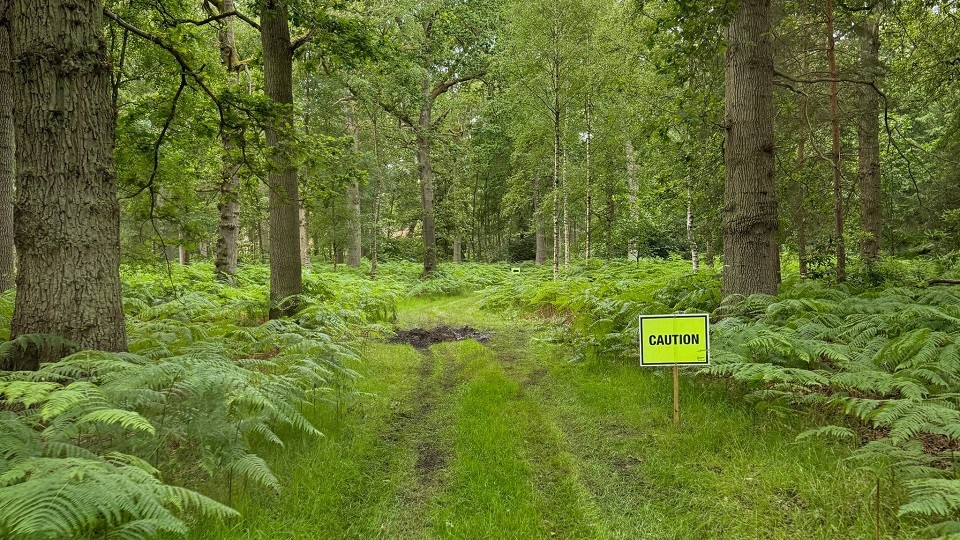 Run Sandringham course 2024