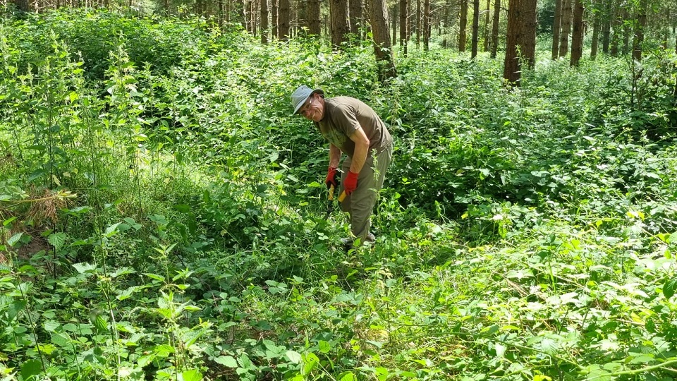Wibbly Wobbly Log Jog course clearance