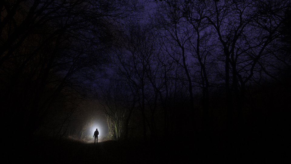 /images/2024/11/in-woods-at-night-copy.jpg