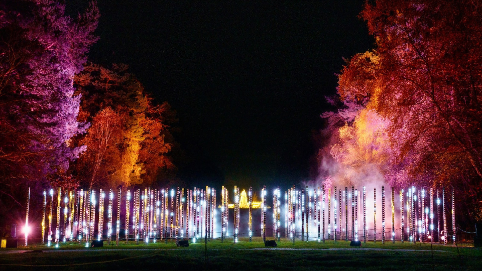 /images/2024/11/run-luminate-copy.jpg