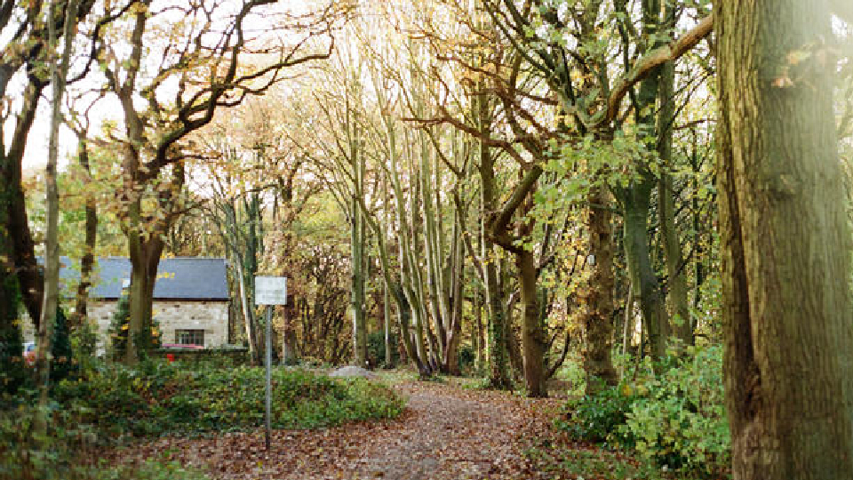 /images/2025/01/apperley-bridge-copy.jpg