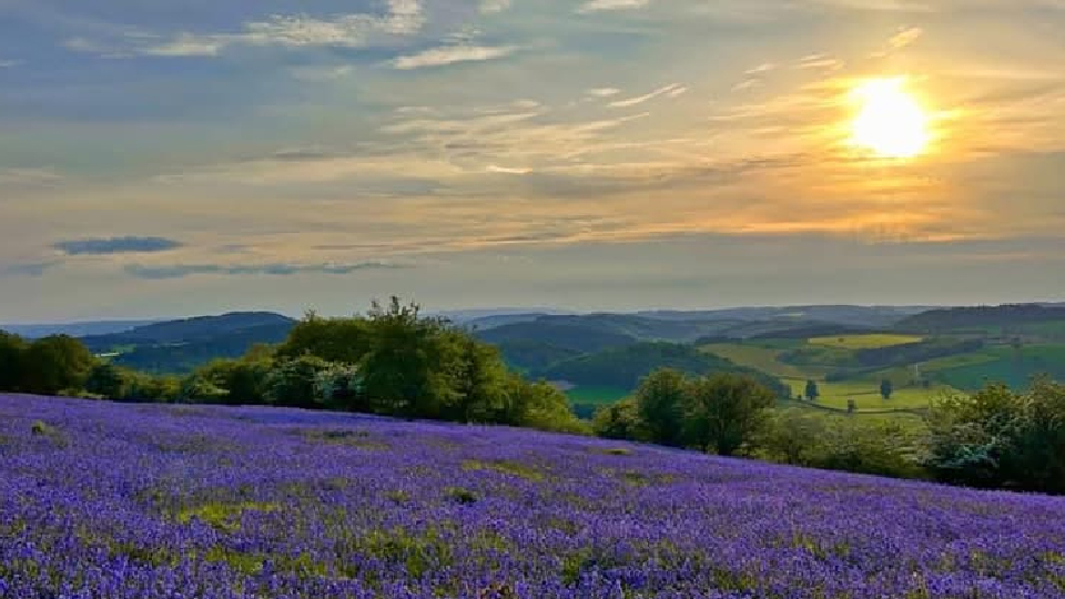 /images/2025/01/hillfort-hustle-copy.jpg