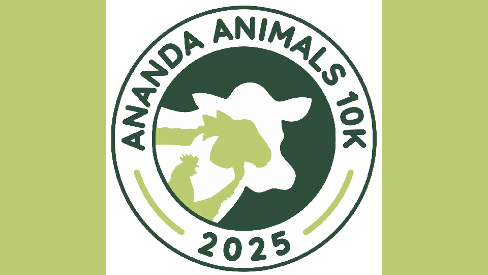 /images/2025/02/ananda-animals-10k-copy.jpg