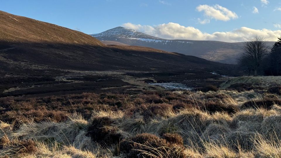 Glen Tanar Trail Running Festival 2025