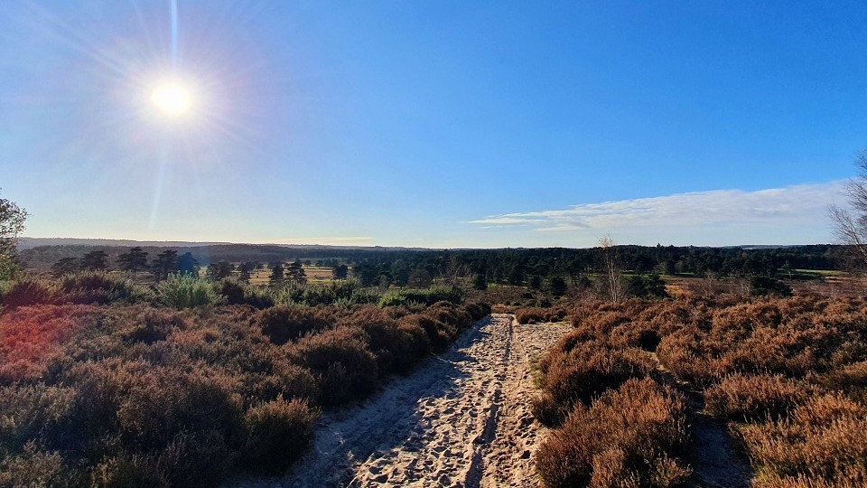 BigHeat Trail Race