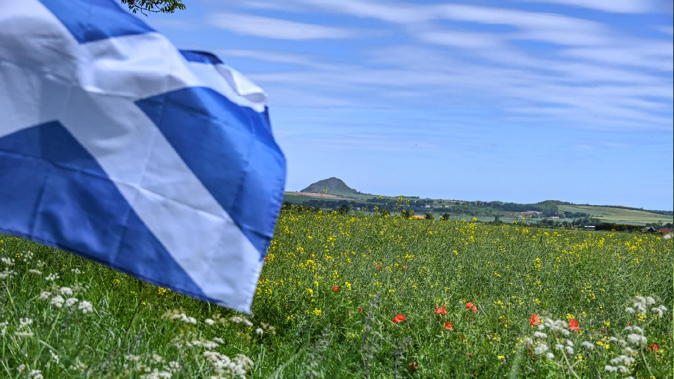 /images/2025/03/saltire-copy.jpg