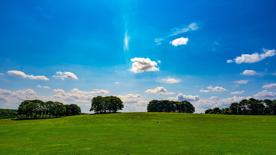 Temple Newsam