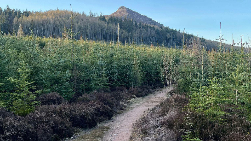 Bennachie Summer Series