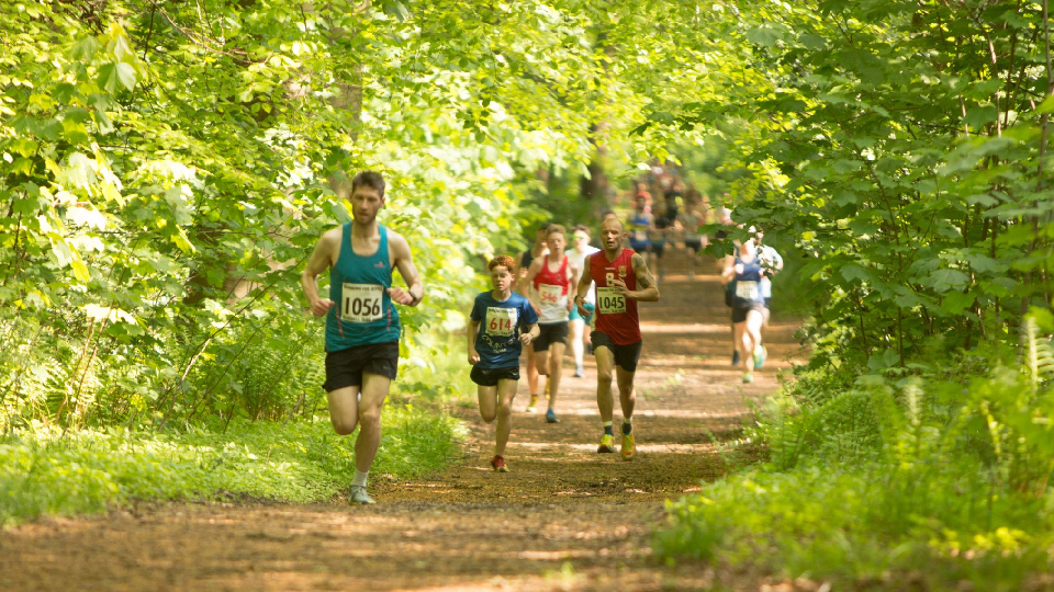 /images/2025/04/bluebell-trail-copy.jpg