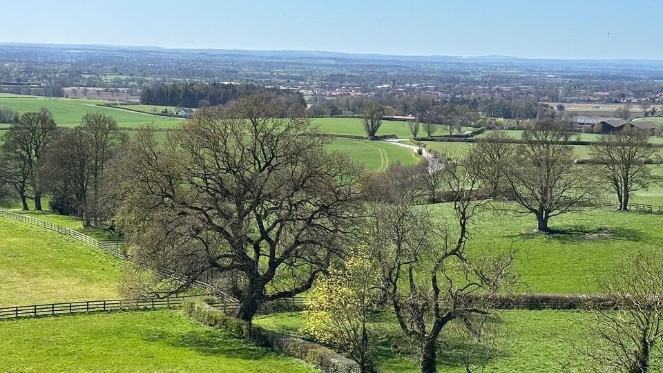 Easingwold 10K course overview 2025