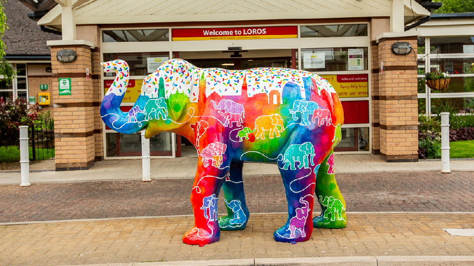 Loros Elephant