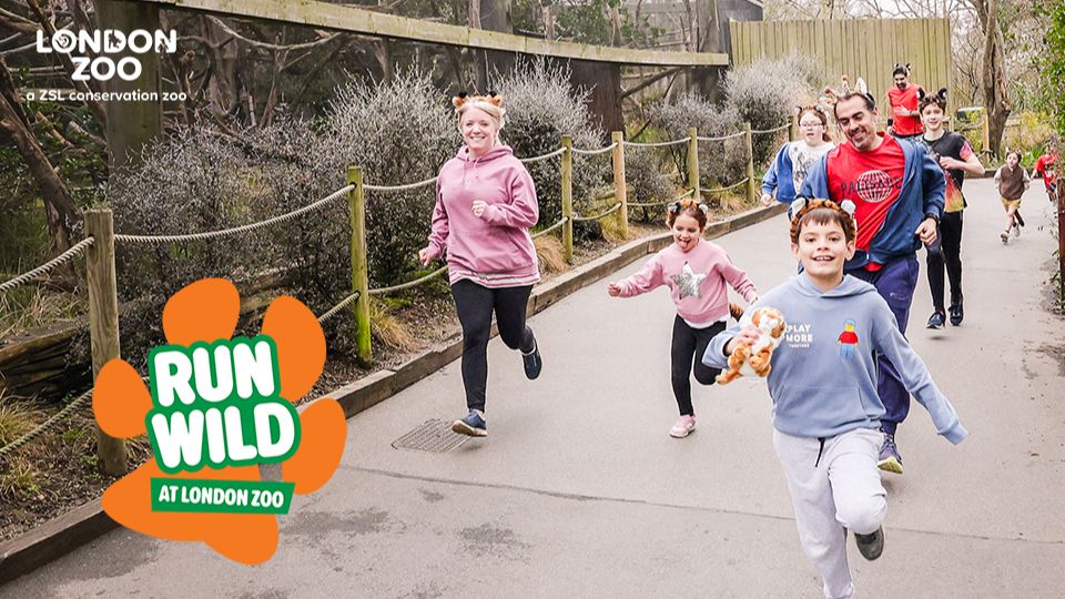 /images/2026/06/run-wild-at-london-zoo-2026-698577.jpg