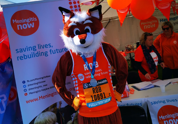 Fox mascot in Meningitis Now colours