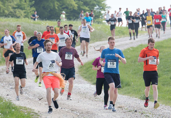 runners on the trails at a Tough Race