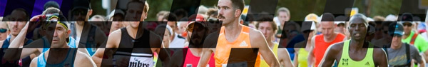 Run Silverstone banner poster