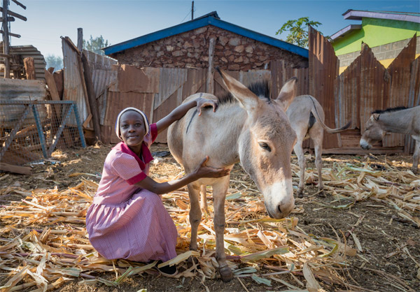 A young girl with working horse
