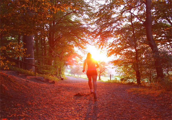 Solo runner in a dappled wood
