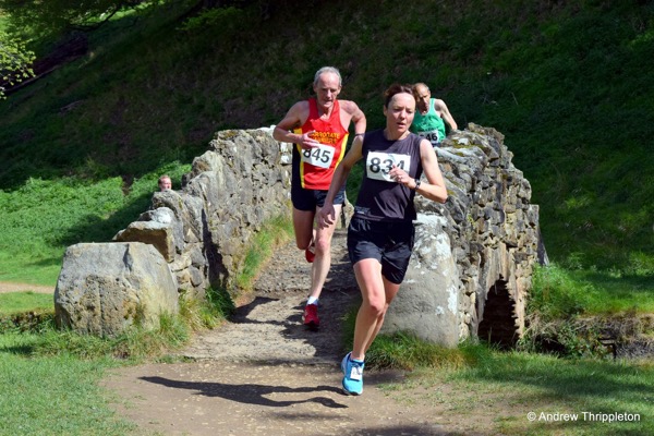 Ripon 10
