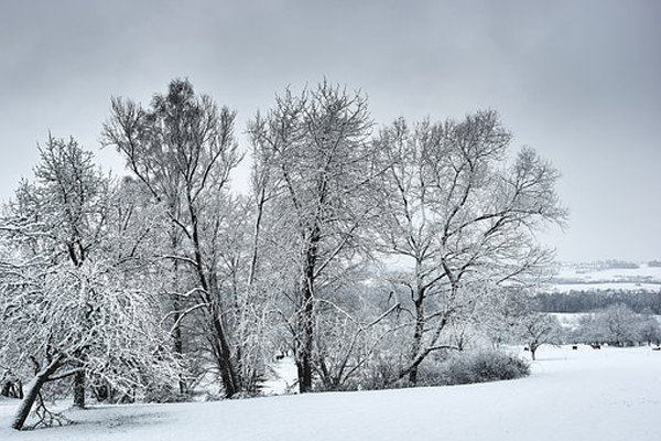winter scene