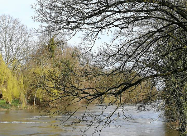The river is high at Old Windsor