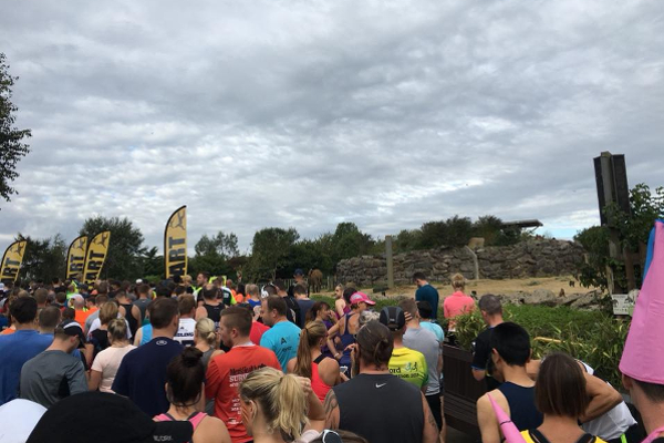 Runners Next to The Animal Enclosure At The Colchester Stampede Half Marathon