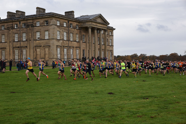 Start Of Mad Jacks 5