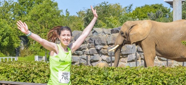 Colchester Zoo Stampede 10K 2019