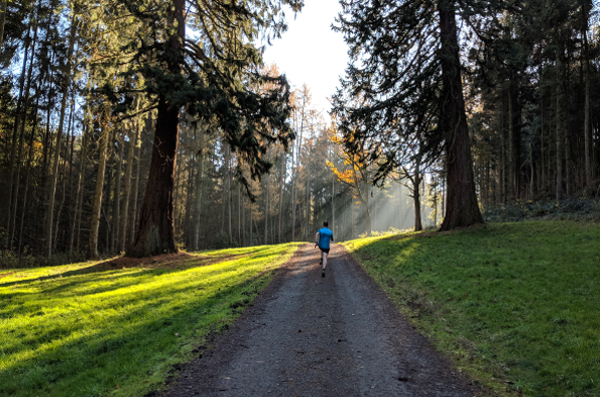 /images/news/2019/1/edited-run-rabbit-trail-festival-23-01-2019.jpg
