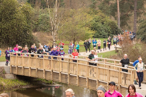 Bedgebury Forest 10 and 5 miler action