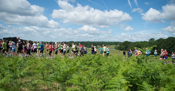 Richmond Park runners