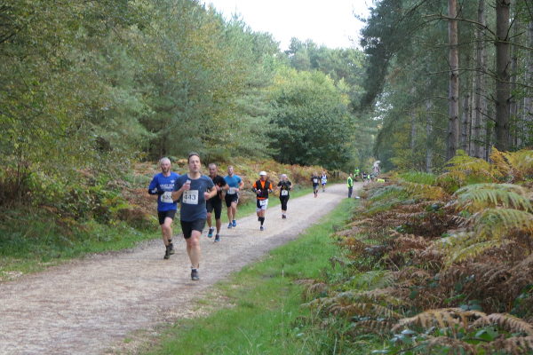 New Sherwood Pines Half Marathon & 10K