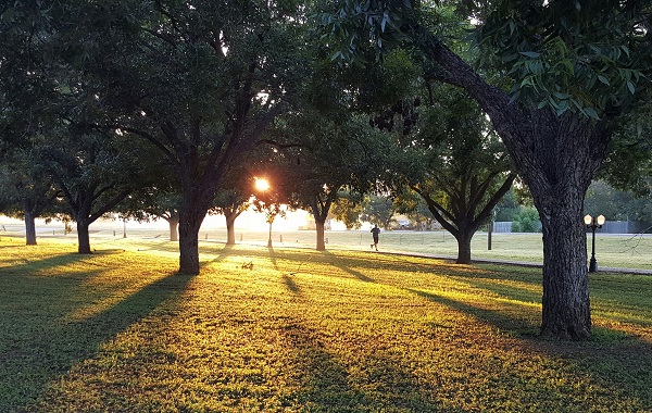 Runner in park