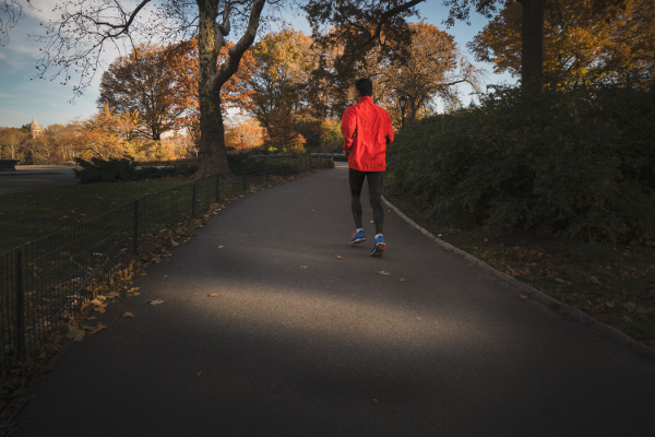 Male Runner In The Park
