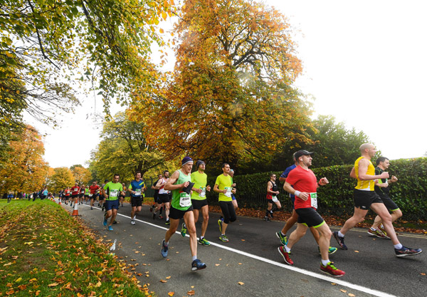 /images/runtalk/2019/2/dublin-trees-600.jpg