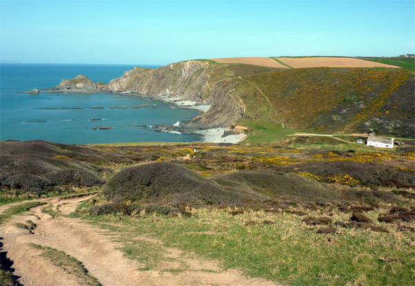 /images/runtalk/2019/3/cornwall-path-600.jpg