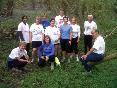 Springfield Striders